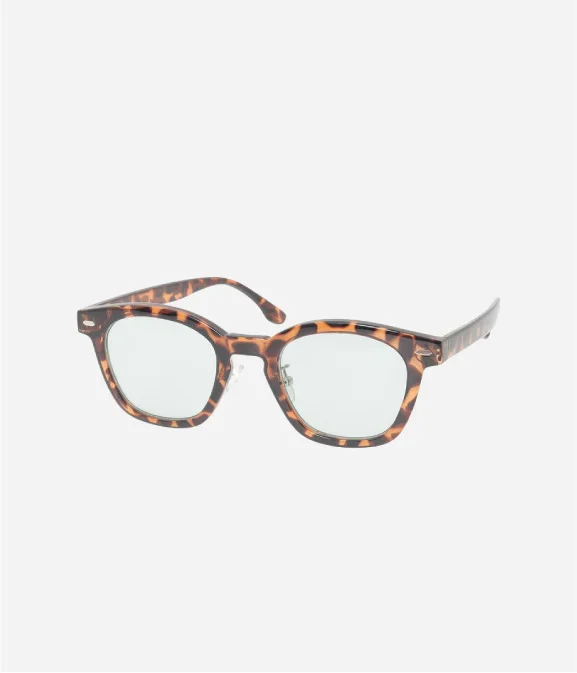 Sunglass